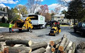 Lawn Grading and Leveling in Portland, ME